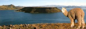 puno05