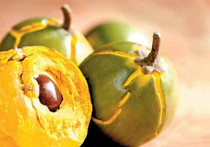 Fruits in Peru – Pirwa Hostels BLOG