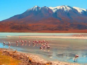 Uyuni laguna