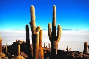 uyuni 4