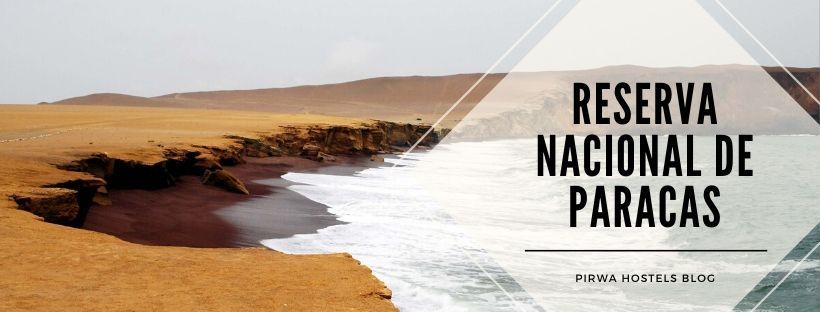 reserva nacional de paracas