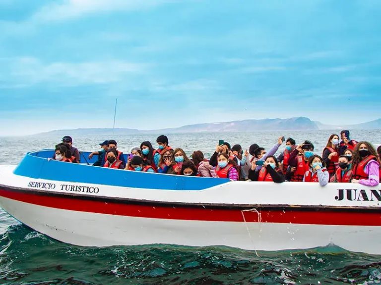 Paracas Islas Ballestas